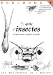 En quête d'insectes