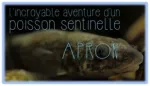 Apron, l’incroyable aventure d’un poisson sentinelle