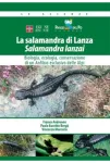 La salamandra di Lanza Salamandra lanzai