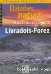 Balades nature dans le Parc naturel régional Livradois-Forez