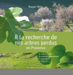 À la recherche de nos arbres perdus en Provence