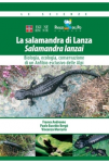 La salamandra di Lanza Salamandra lanzai