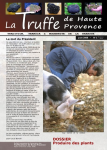 La truffe de Haute Provence