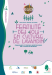 Guide pratique sur la fertilité des sols en culture de lavandin